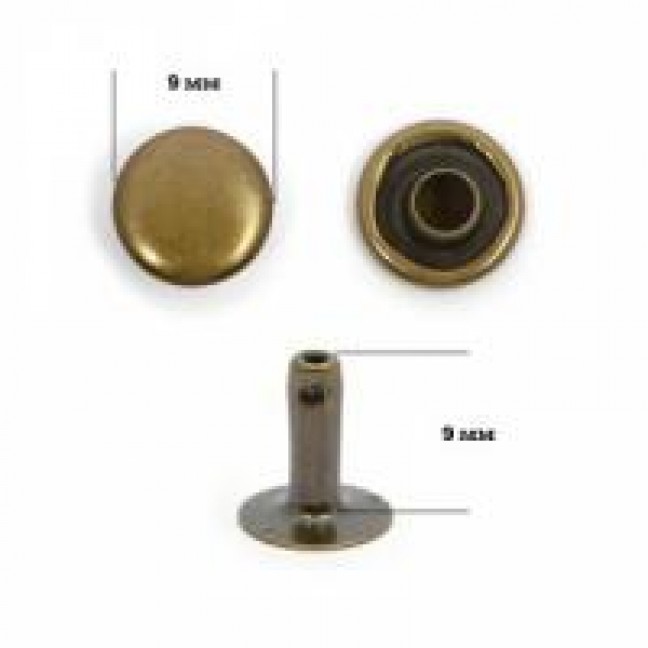 хольнитены